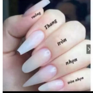 (HOẢ TỐC ) NAILBOX SƠN THẠCH HỒNG MẮT MÈO FEND ĐẦU MÓNG SIÊU XINH