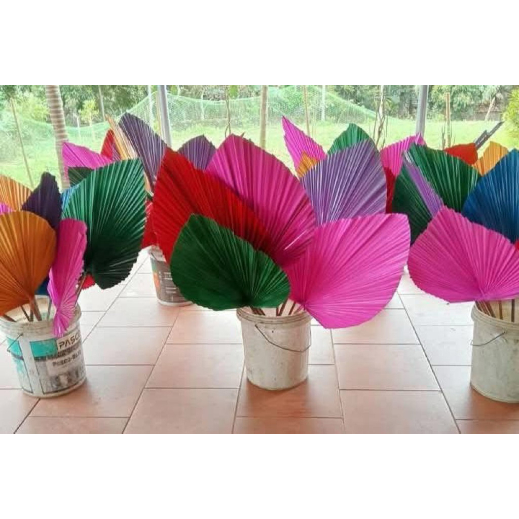 combo 20 lá cọ màu đỏ trang trí decor