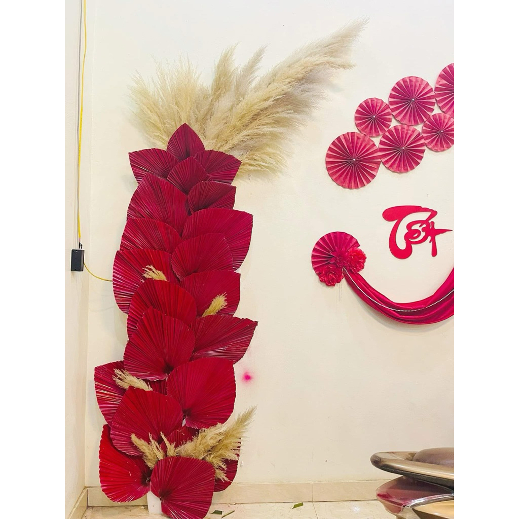 combo 5 lá cọ màu đỏ tươi khách trang trí decor