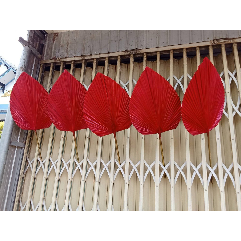 combo 5 lá cọ màu đỏ tươi khách trang trí decor