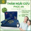 Thảm ngải cứu chính hãng PHÚC AN, đau mỏi xương khớp, Quà tặng cho ông bà, cha mẹ