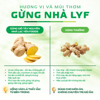 Tắc Gừng Mật Ong Lạc Yên Foods – Nông sản Tự Nhiên Hỗ Trợ Giữ Ấm Cơ Thể, Lành Tính