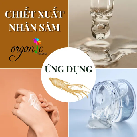 CHIẾT XUẤT NHÂN SÂM (GINSENG EXTRACT - HÀN QUỐC)