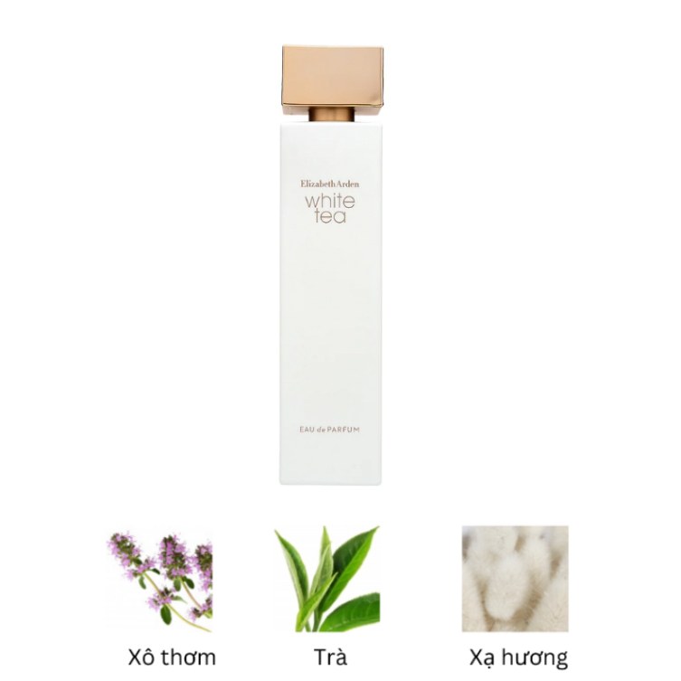 Nước hoa nữ Elizabeth Arden White Tea Women 100ml