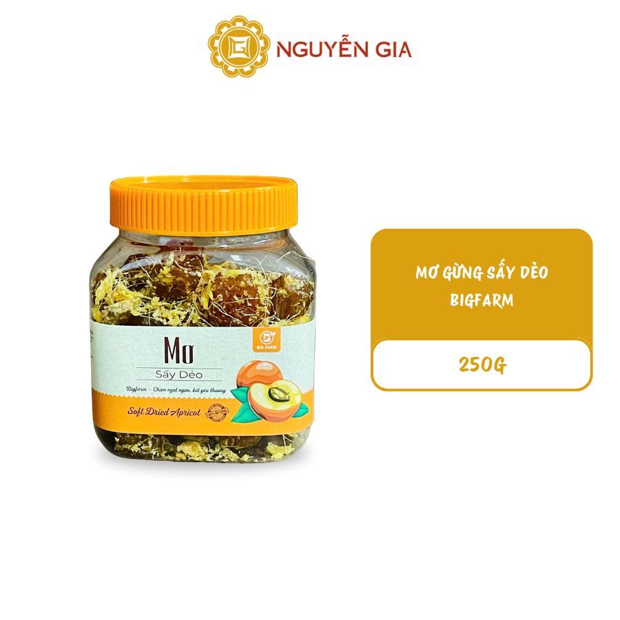 Mơ Gừng Sấy Dẻo Bigfarm 250g