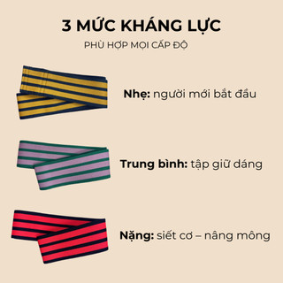 Dây Kháng Lực MiniBand Tập Mông ECOFIT Tập Gym,Tập Yoga 3 Mức Co Giãn Cho Người Mới Bắt Đầu