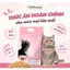 Hạt Cho Mèo Kawai Cat Vị Cá Hồi, Hỗ Trợ Hệ Tiêu Hóa Tiết Niệu Khỏe Mạnh, Giảm Búi Lông