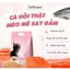 Hạt Cho Mèo Kawai Cat Vị Cá Hồi, Hỗ Trợ Hệ Tiêu Hóa Tiết Niệu Khỏe Mạnh, Giảm Búi Lông
