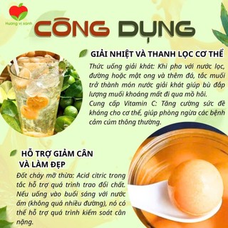 TẮC MUỐI, TRÀ TẮC GIẢI NHIỆT GIẢM CÂN, ĐẸP DA, BÙ NƯỚC NHIỀU CHẤT XƠ VÀ VITAMIN TỐT CHO SỨC KHỎE- HƯƠNG VỊ XANH