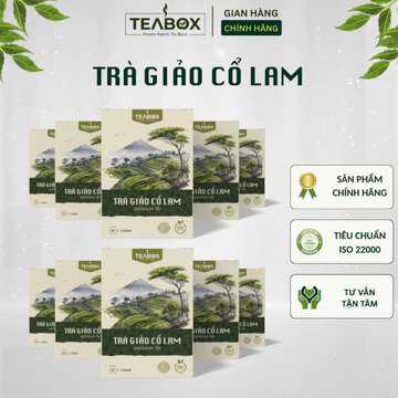 [COMBO 10 HỘP] Trà Giảo Cổ Lam TEABOX Hộp 30 Túi Lọc Tem Chỉ x 3 Gram Tiêu Chuẩn ISO 22000