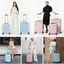 Vali Kéo MIAvn Pisani LANI - Size 20/24/28, Nhựa PP Dẻo Siêu Bền, Hạn Chế Bể Vỡ, Khoá TSA, Bảo Hành Trọn Đời