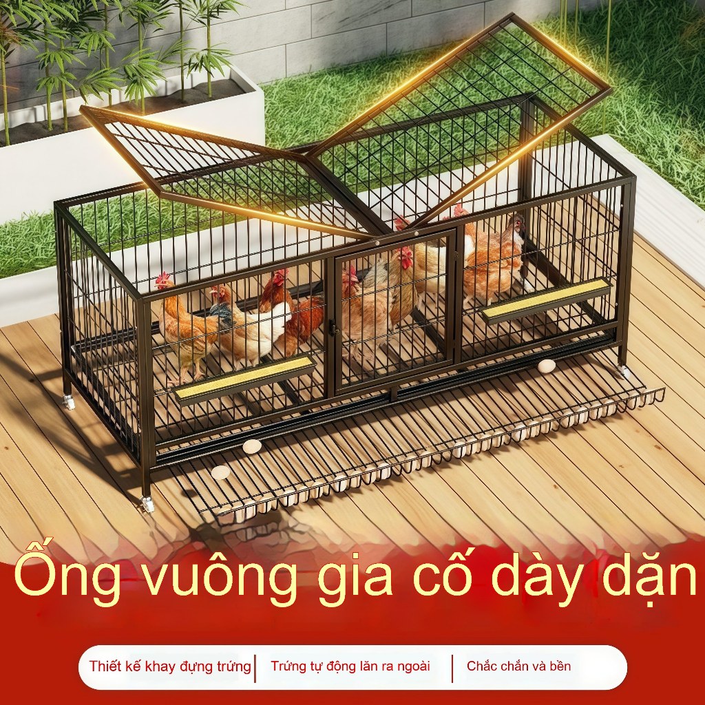 Lồng gà đường vuông dày dặn bền bồ với nắp mở dễ sử dụng không gian lớn dành cho gia đình và