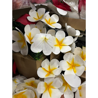 Hoa Chăm Pa, hoa đại múa văn nghệ, decor trang trí