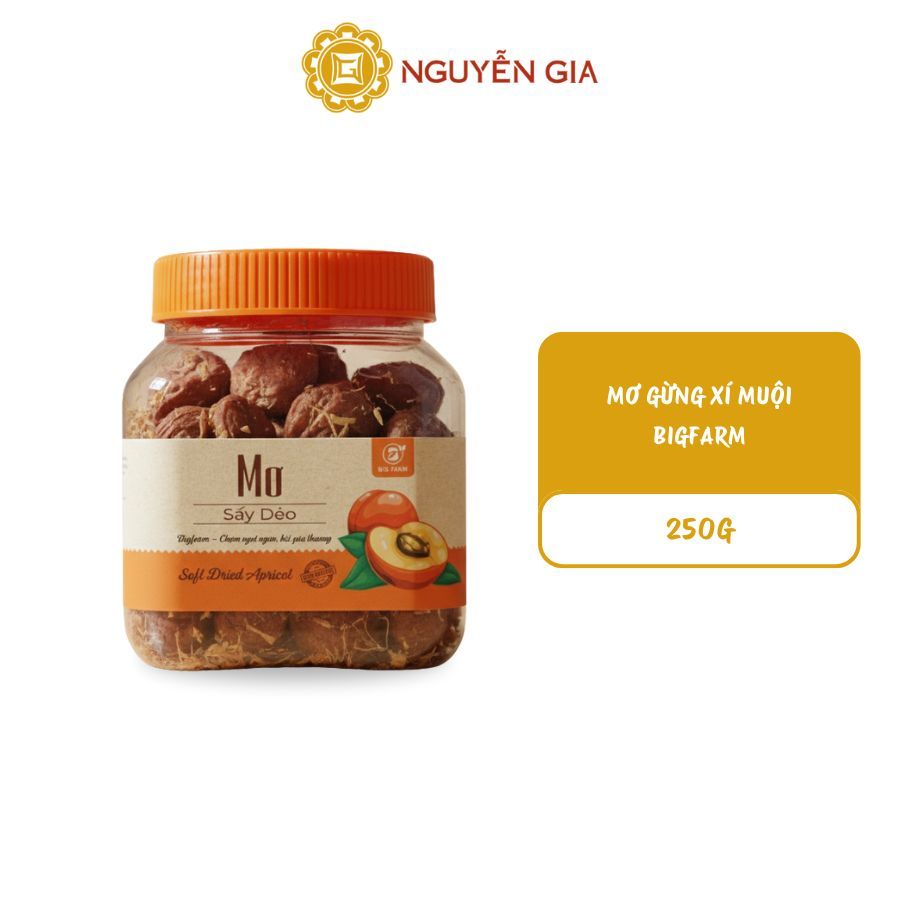 Mơ Gừng Xí Muội Bigfarm 250g