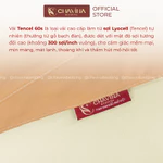 Bộ ga gối 3 món Lụa Tencel 60s Chavina Bedding size 1m2 đếm 2m2 bao gồm 1 drap và 2 vỏ gối nằm cao cấp — ảnh 8