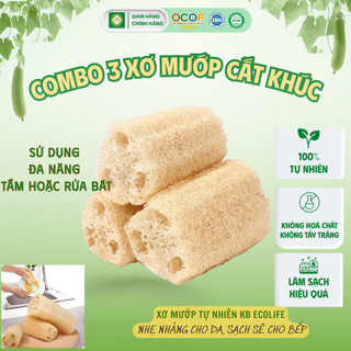 COMBO 3 MIẾNG XƠ MƯỚP CẮT KHÚC nguyên trái KB Ecolife làm miếng rửa bát hoặc bông tắm an toàn