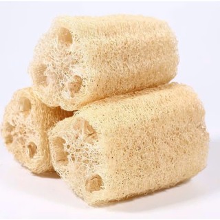 COMBO 3 MIẾNG XƠ MƯỚP CẮT KHÚC nguyên trái KB Ecolife làm miếng rửa bát hoặc bông tắm an toàn