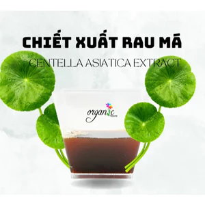 CHIẾT XUẤT RAU MÁ ( CENTELLA ASIATICA EXTRACT - ITALIA)