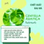CHIẾT XUẤT RAU MÁ ( CENTELLA ASIATICA EXTRACT - ITALIA)