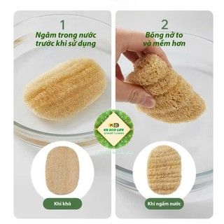 SET 2 MIẾNG Rửa Bát OVAL Xơ Mướp Tự Nhiên KB Ecolife Không Hoá Chất Tạo Bọt Mịn Rửa Sạch Chén Bát