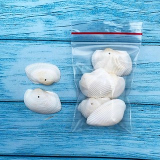 Vỏ Sò Trang Trí Đục Lỗ Sẵn - Vỏ Ốc Có Lỗ Decor Làm Handmade Nhiều Size Mini Đến To (1 Túi)