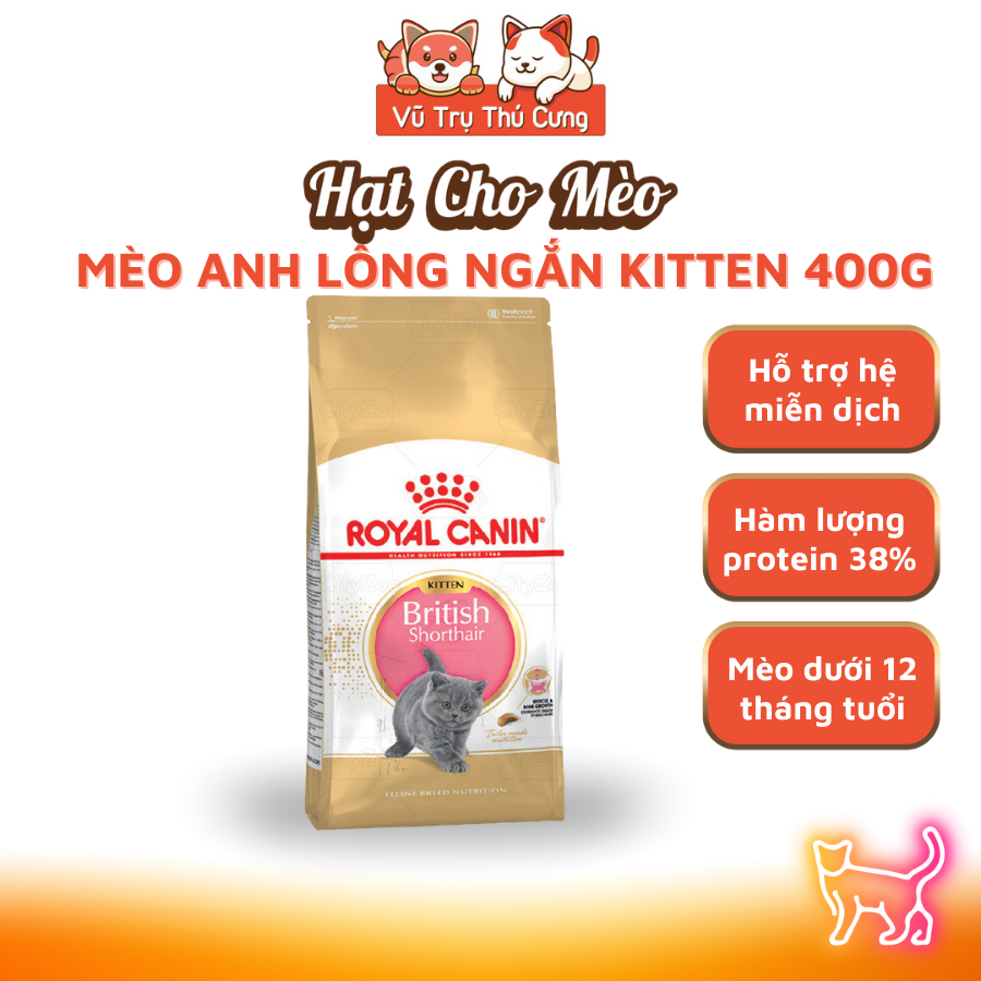 Hạt Royal Canin British Shorthair Kitten Dành Cho Mèo Anh Lông Ngắn 400g