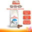 Thức ăn hạt cho Mèo trưởng thành Royal Canin Indoor 2Kg