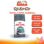 Hạt Cho Mèo Royal Canin Hairball Hỗ Trợ Tiêu Búi Lông
