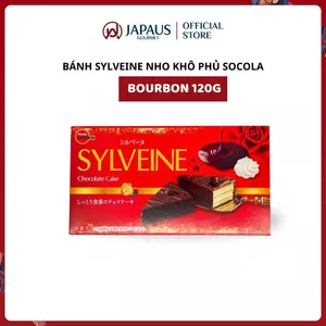 Bánh Sylveine nho khô phủ Socola Bourbon 120g