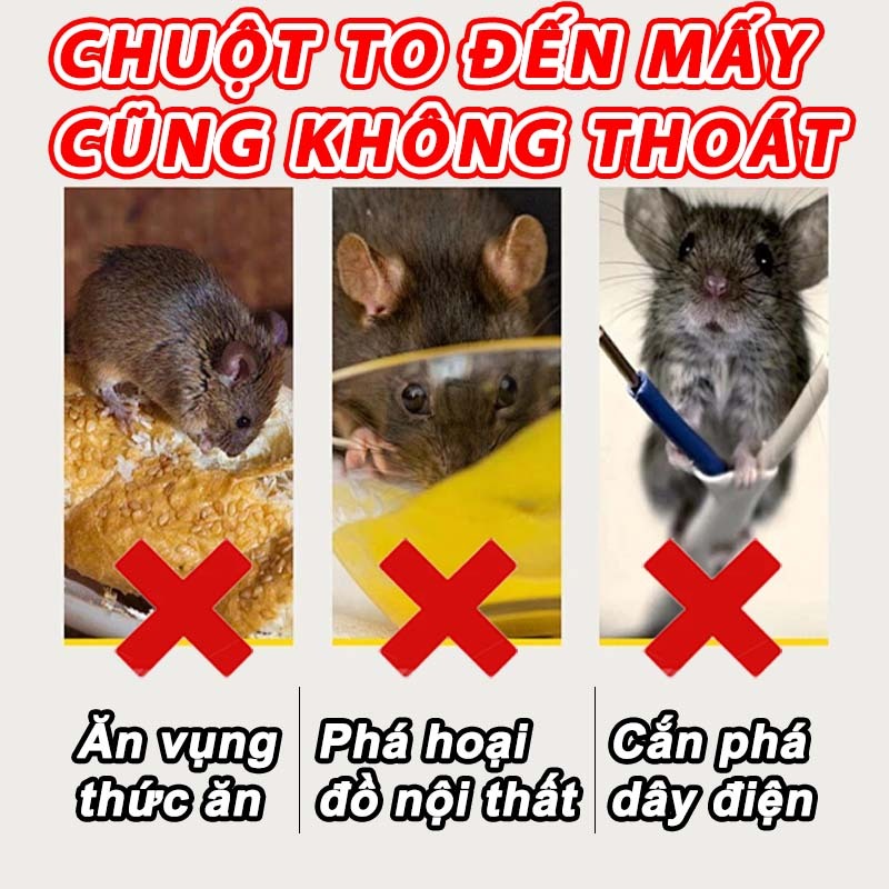 Bẫy chuột dán keo siêu dính, Keo Dính Chuột Siêu Dính (có mồi) ,, gián, ruồi, thần bẫy chuột cho nhiều mục đích
