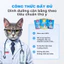 Pate Mèo Mr.Vet - Lon 400g - Pate Cho Mèo Hỗ Trợ Tiêu Hóa, Dinh Dưỡng Cho Mèo Mọi Độ Tuổi