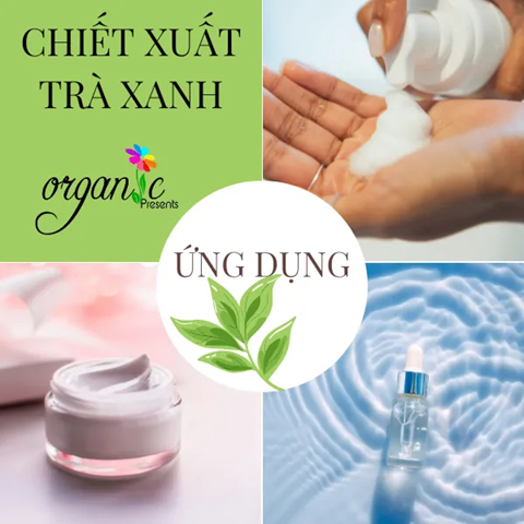 CHIẾT XUẤT TRÀ XANH (GREENTEA EXTRACT - ITALIA)