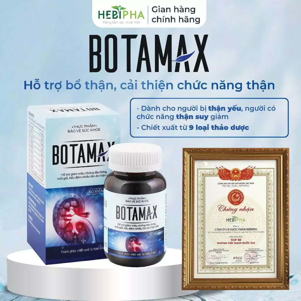 Viên Thận BOTAMAX - Hỗ trợ bổ thận, cải thiện chức năng thận, giảm đau lưng, mỏi gối, tiểu nhiều lần - Lọ 60/90 Viên
