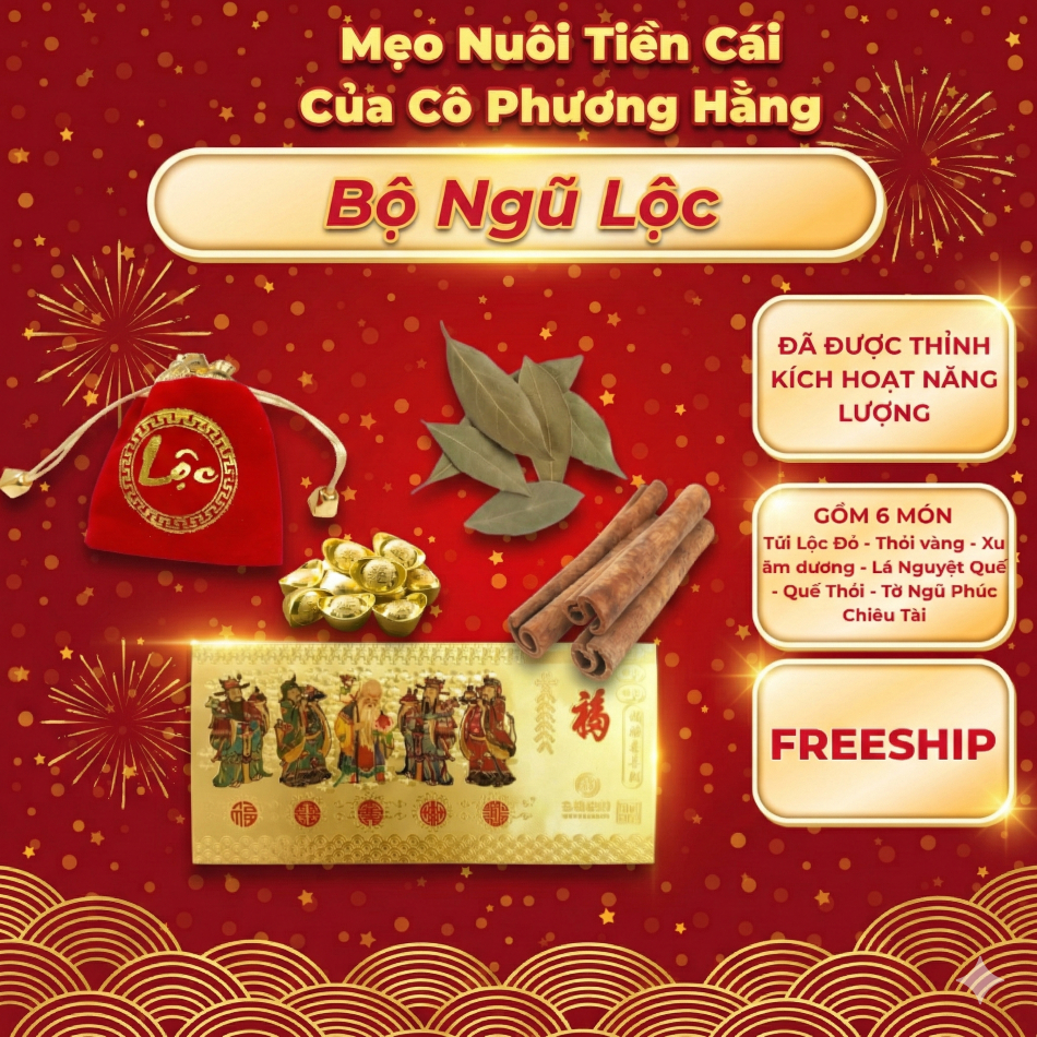 Combo 6 món phong thủy, vật phẩm chiêu tài lộc ( MẸO CÔ PHƯƠNG HẰNG ) để ví, túi xách, bàn làm việc.