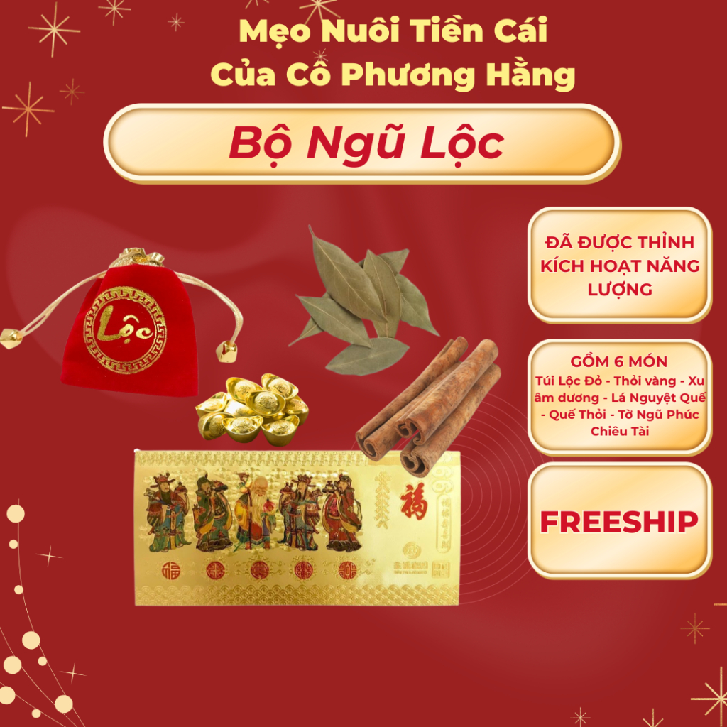 Combo 6 món phong thủy, vật phẩm chiêu tài lộc ( MẸO CÔ PHƯƠNG HẰNG ) để ví, túi xách, bàn làm việc.