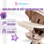 Bàn Ăn Dặm Xe Đẩy Baobaohao Chính Hãng V16-C, Khay Đựng Đồ Ăn Tháo Rời Xe Đẩy Cho Bé, Tiện Lợi An Toàn Cho Bé