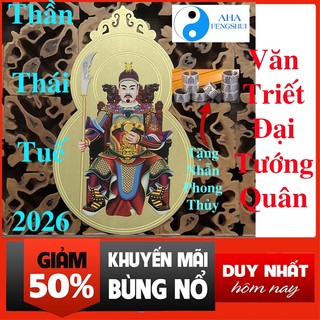 Kim bài Thái Tuế 2026 Phù Thái Tuế 2026 Hóa Giải Hạn Thái Tuế Cho Tý Ngọ Mão Sửu Tặng Nhẫn Phong Thủy