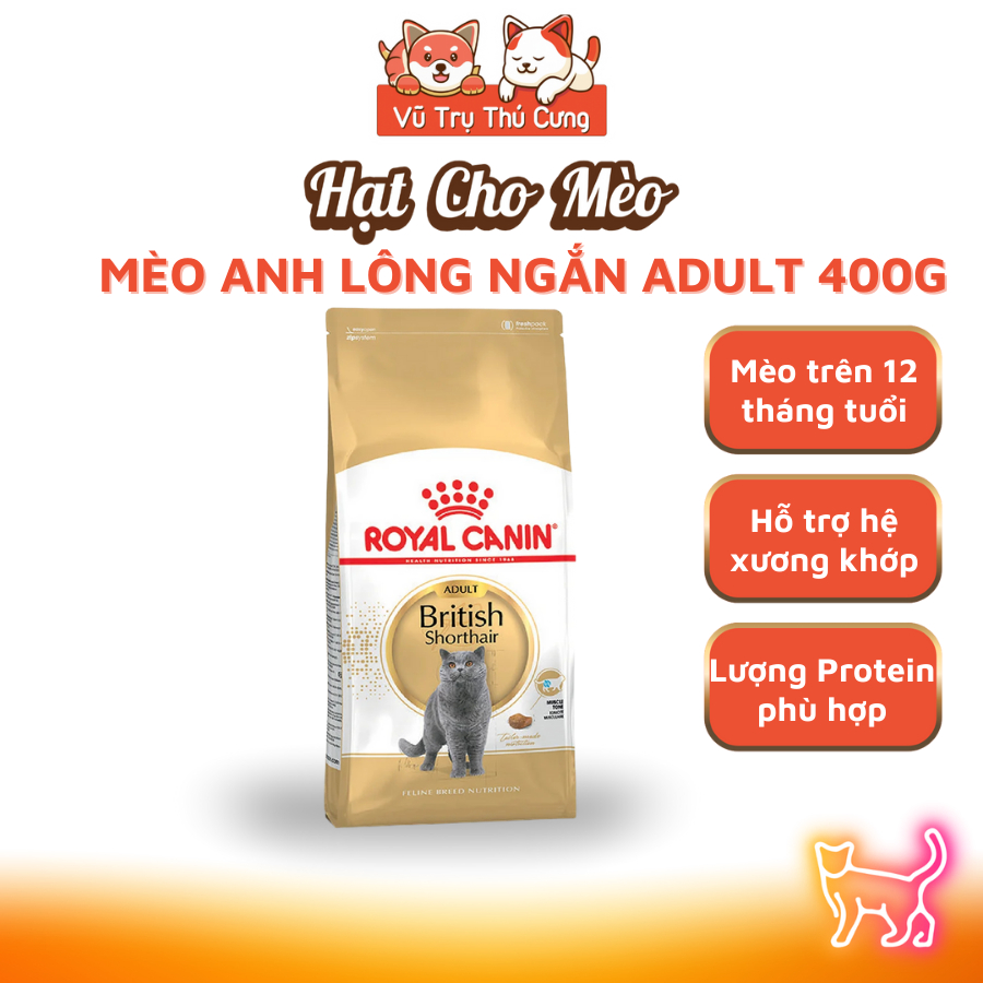 Hạt Royal Canin British Shorthair dành cho Mèo Anh Lông Ngắn trưởng thành 400g