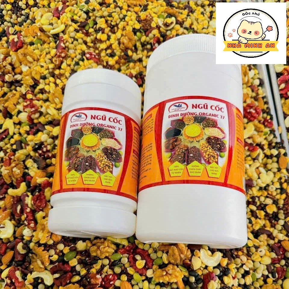 [500G - 1KG] Ngũ Cốc Dinh Dưỡng Organic Nguyên Chất 100% Bột Ngũ Cốc Tự Nhiên Không Phụ Gia