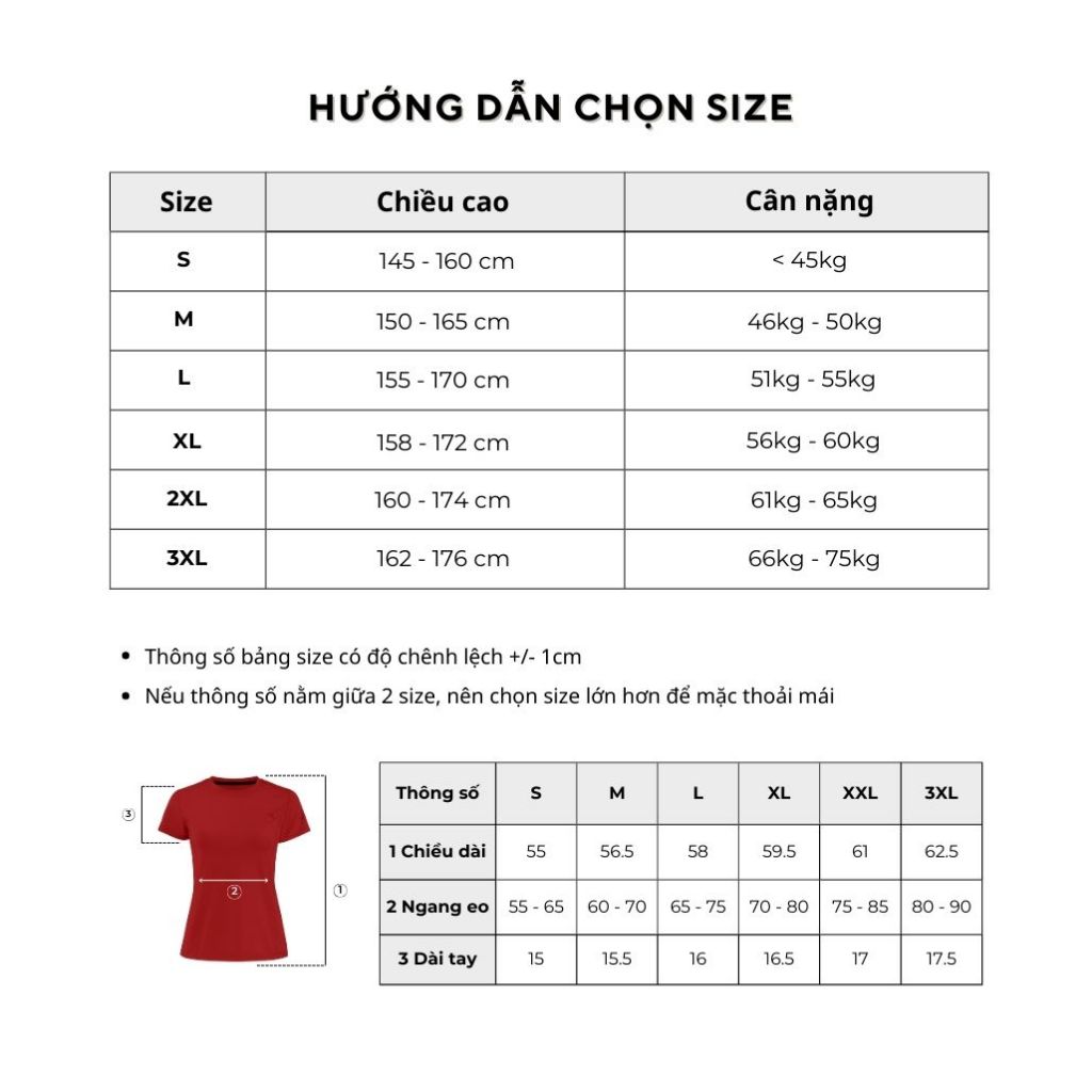 Áo thun thể thao nữ cổ tròn Reeta tập gym, yoga, chạy bộ,chất liệu thoáng khí năng động trẻ trung-A087 | BigBuy360 - bigbuy360.vn