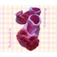 Giày len cho bé từ 0-12 tháng, giày nơ len, giày cho bé - handmade len - crochet
