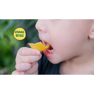 Combo 10 túi Trái Cây Sấy Dẻo Chang Bites, Ăn Vặt Healthy  Giàu Vitamin C, Chuẩn Xuất Khẩu Có Công Bố Giấy Tờ Đầy Đủ.