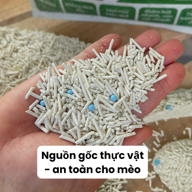 Combo 3 Túi Cát Mèo, Cát Sắn Thiên Nhiên Hương Biển Xanh - Vón Cực Nhanh, Ít Bụi, Không Bết Đáy