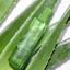 Xịt khoáng nha đam Aloe Vera Aspasia Moist Up Face Mist 150ml