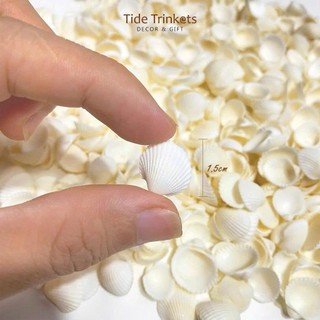 Sò, Ốc, San Hô trang trí chụp ảnh nail, chụp đồ trang sức, làm handmade xinh xắn