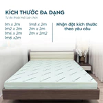 Nệm cao su non Trung Nguyên cao cấp, da dạng kích thước, êm ái, mềm mại, nâng đỡ xương khớp, thoáng mát, bảo vệ sức khỏe — ảnh 6