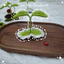 Kẹp tóc Mầm Cây, Nấm Bằng Len Handmade