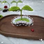 Kẹp tóc Mầm Cây, Nấm Bằng Len Handmade