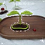 Kẹp tóc Mầm Cây, Nấm Bằng Len Handmade