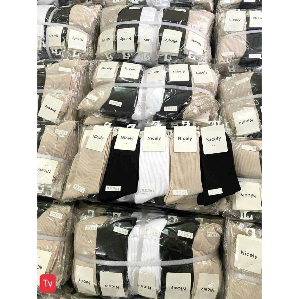Set 10 Đôi Tất Gân Cao Cổ Nicely – Vớ Trơn Basic, Co Giãn Tốt, Thấm Hút Mồ Hôi